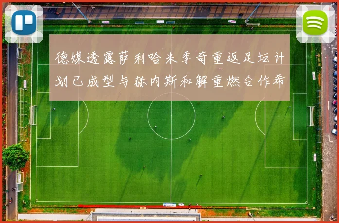 德媒透露萨利哈米季奇重返足坛计划已成型与赫内斯和解重燃合作希望